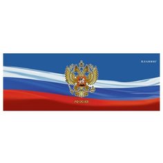 Планинг недатированный Канц Эксмо