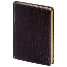 Ежедневник недатированный Альт