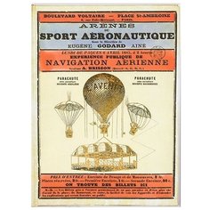 Ежедневник недатированый Феникс