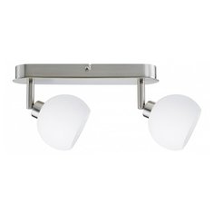 Спот Paulmann Wolbi 60295