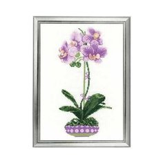 Набор для вышивания Риолис 1163