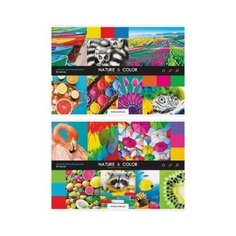 Альбом для рисования 40л. А4 на Art Space