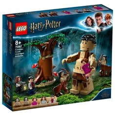 Конструктор LEGO Harry Potter 75967 Запретный лес: Грохх и Долорес Амбридж