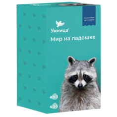 Набор карточек Умница Мир на ладошке. Енот 125 шт.