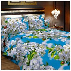 Постельное белье 1.5-спальное Letto B157 70х70 бязь голубой