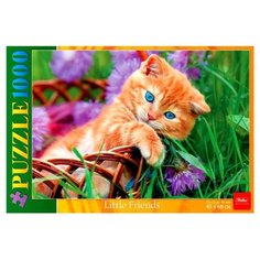 Пазл Hatber Little Friends Котенок в корзинке (1000ПЗ2_14059), 1000 дет.