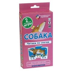 Набор карточек Айрис-Пресс Занимательные карточки. Собака. Читаем по слогам 10x6 см 48 шт.