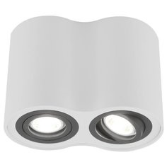 Спот Arte Lamp Falcon A5644PL-2WH