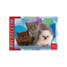 Пазл Hatber Little Friends Три котенка (120ПЗ5_07186), 120 дет.