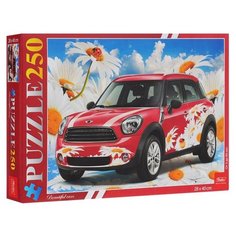 Пазл Hatber Авто в цветах (250ПЗ3_12583), 250 дет.