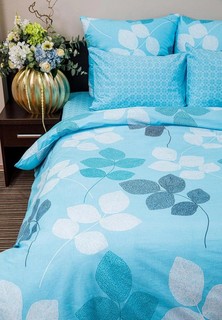 Постельное белье Евро Ночь нежна