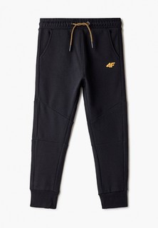 Брюки спортивные 4F