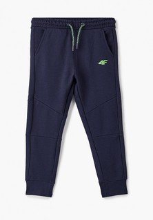 Брюки спортивные 4F