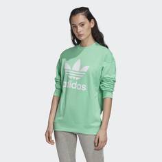 Свитшот Trefoil adidas Originals