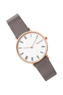 Наручные часы SKAGEN