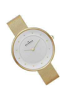 Наручные часы SKAGEN