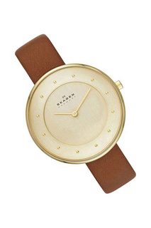 Наручные часы SKAGEN