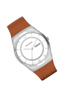 Наручные часы SKAGEN