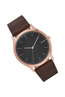 Наручные часы SKAGEN