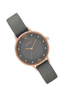 Наручные часы SKAGEN