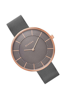 Наручные часы SKAGEN