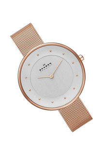 Наручные часы SKAGEN