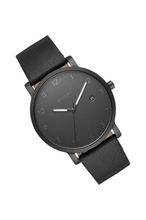 Наручные часы SKAGEN