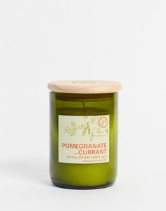 Свеча с ароматом граната и смородины ECO-Бесцветный Paddywax