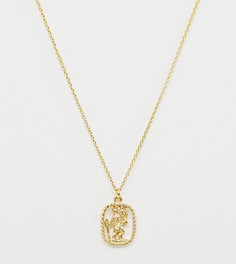 Ожерелье из позолоченного серебра с подвеской ASOS DESIGN-Золотой