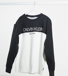 Свитшот в стиле колор блок с логотипом Calvin Klein Big and Tall-Мульти