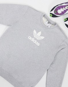 Серый свитшот с логотипом-трилистником adidas Originals