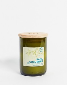 Свеча с ароматом базилика и огурца ECO-Бесцветный Paddywax