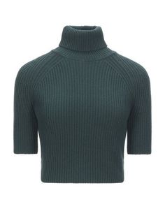 Водолазки Elisabetta Franchi