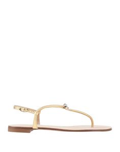 Вьетнамки Giuseppe Zanotti