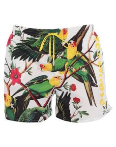 Шорты для плавания Dsquared2