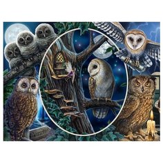 Пазл Super 3D Коллаж. Совы 500