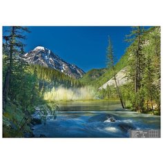 Фотообои бумажные Симфония