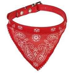 Ошейник Пижон с косынкой