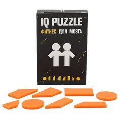 Головоломка IQ PUZZLE Близнецы оранжевый