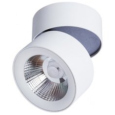 Спот Divinare Urchin 1295/03 PL-1