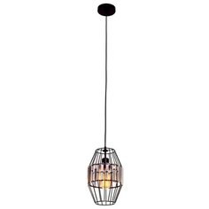 Светильник Lucia Tucci Industrial 1826.1, E27, 60 Вт