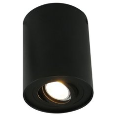 Спот Arte Lamp Falcon A5644PL-1BK
