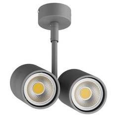 Спот Lightstar Rullo 214449