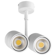 Спот Lightstar Rullo 214446