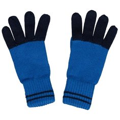 Перчатки 21906BMC7601 Gulliver Baby, синий, размер 12