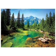 Пазл Trefl Вид на Татры (37117), 500 дет.