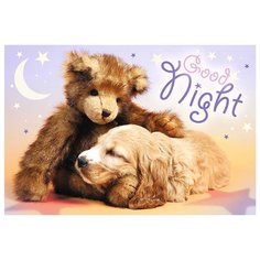 Пазл Trefl Sweet & Lovely - Спокойной ночи (17270), 60 дет.