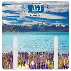 Весы электронные Scarlett SC-BS33ED11