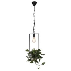 Светильник Favourite Situla 1975-1P, E27, 60 Вт