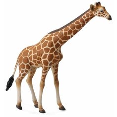 Фигурка Collecta Сетчатый жираф 88534